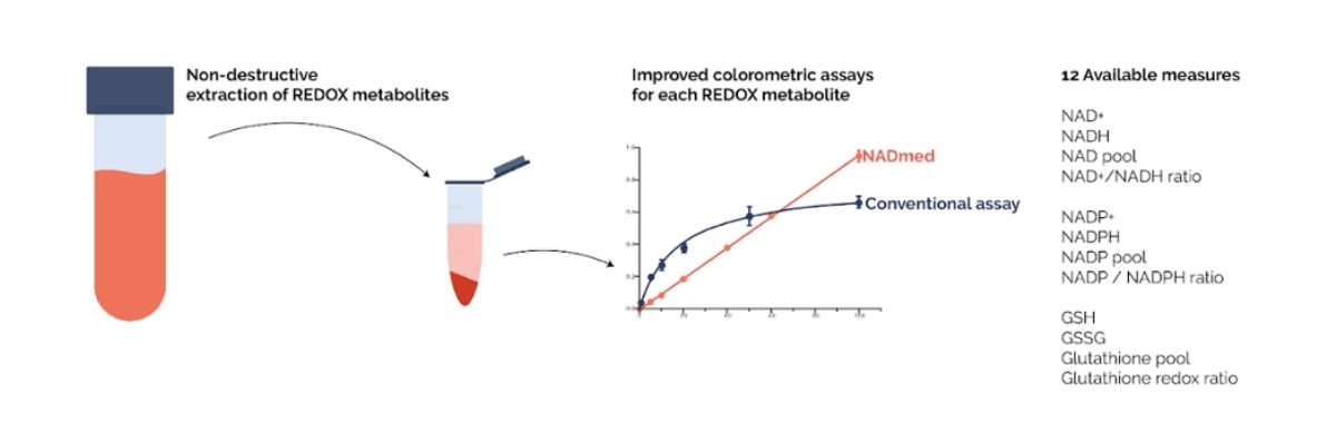 NADMED is a proprietary technology for measuring NADs and glutathiones. The technology is based on the novel nondestructive extraction of all metabolites and an accurate colorimetric quantification of NADs and glutathione. The technology has been used to study research samples of cells, liver, brain, muscle, and blood of human or animal origin. | Nadmed Ltd | The standard of NAD measuring